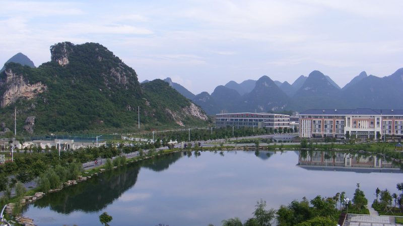 稳压二极管：揭秘其价格背后的因素